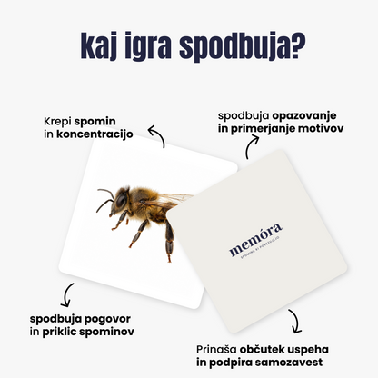 Spomin
