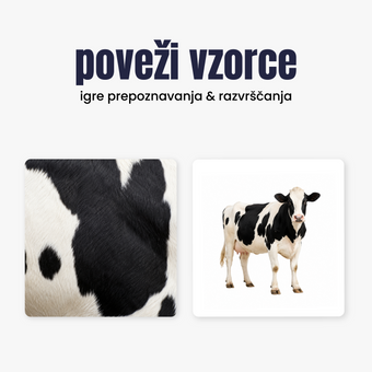 compare product