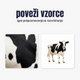 Poveži vzorce